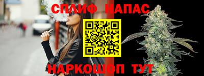 гидра Малоярославец