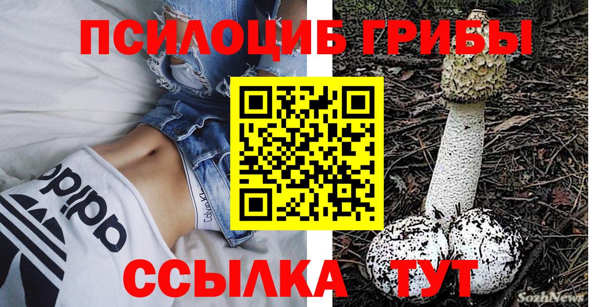 Краснотурьинск  Псилоцибиновые грибы прущие грибы  Вход с VPN  Псилоцибиновые грибы мицелий 